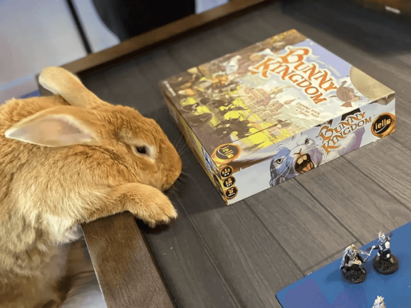 Strategic Board Game Experience - Gallery image