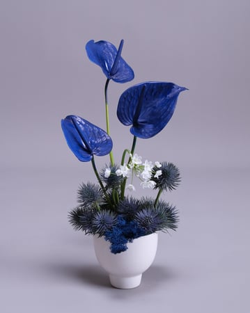Celestial Blue Anthurium Arrangement Set of Two with Thistle - Anniversary - Featured image