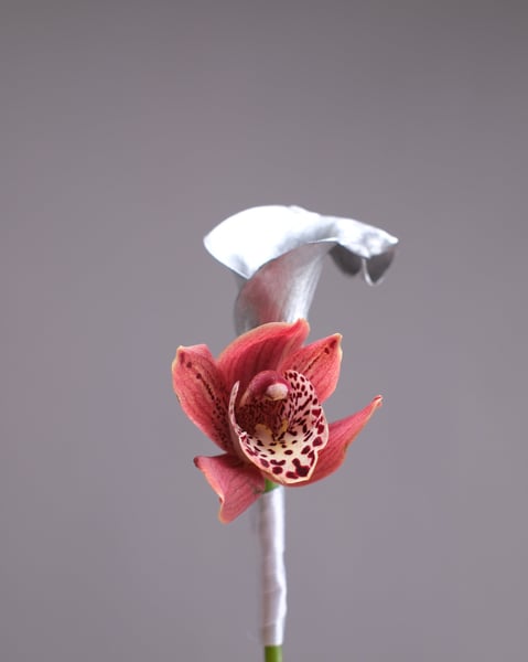Coral Cymbidium Orchid and Silver Anthurium Bridal Bouquet - Gallery image