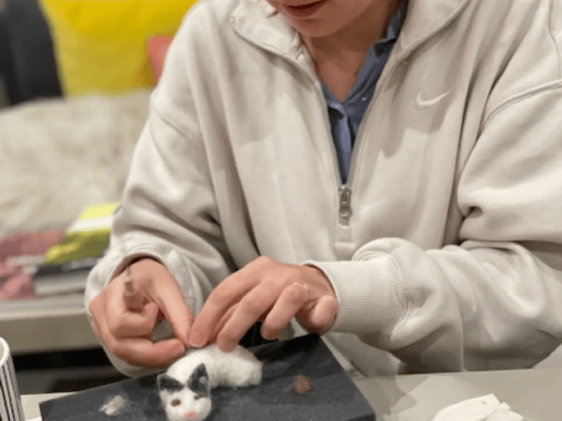 Needle-Felting Workshop: Create Your Own Pet Sculpture! - Gallery image