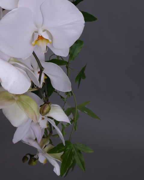 Cascading Bridal Bouquet of White Orchids and Trailing Greens - Gallery image