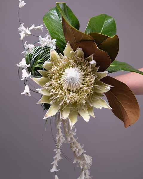 Tropical King Protea Bridal Bouquet with Magnolia and Hyacinth - Gallery image