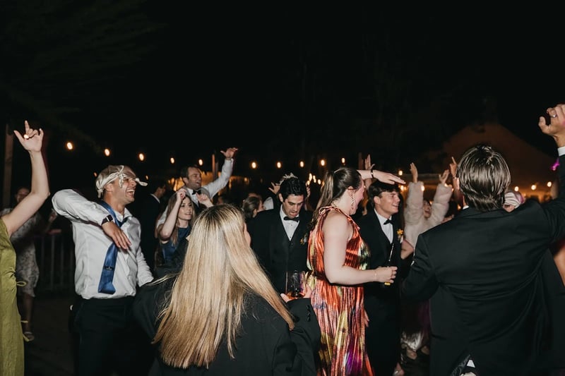 Five-Hour Reception DJ MC with Sound and Dance Floor Lighting - Gallery image