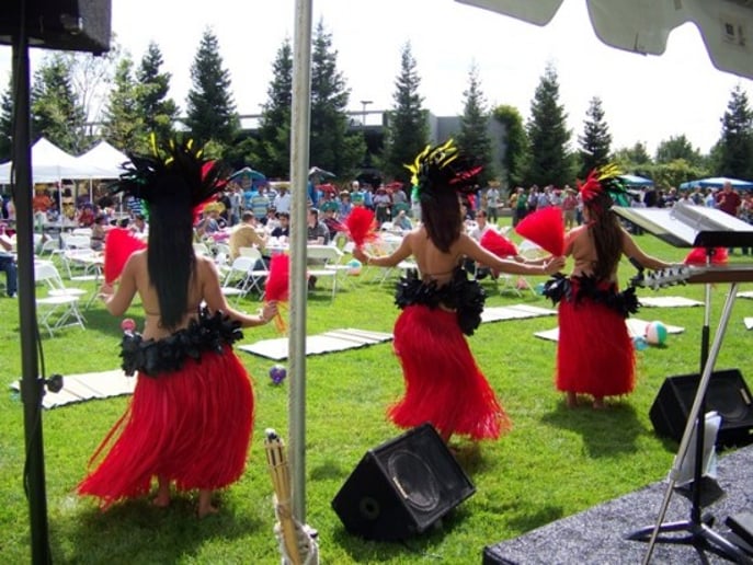 Hula Dancers for Luau Parties and Wedding Events - Gallery image