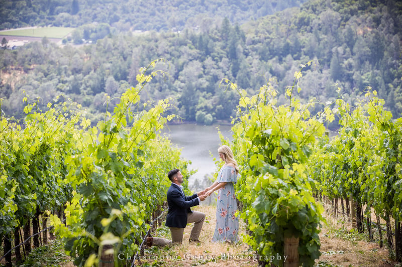 Napa Valley Proposal Photography Hidden Photographer Session - Gallery image