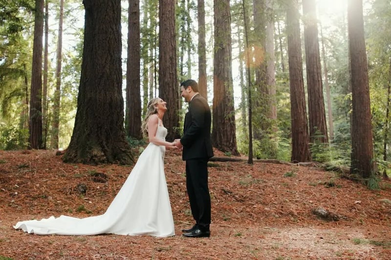 Wedding Videographer Cinematic Highlight Reel Drone Coverage - Gallery image