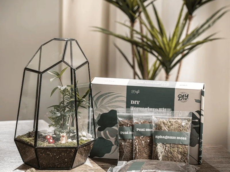 Sip & Terrarium Workshop in San Francisco or - Gallery image