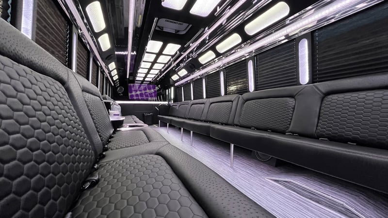 Luxury Small Party Bus Rental for Groups of Up to 19 Guests - Gallery image