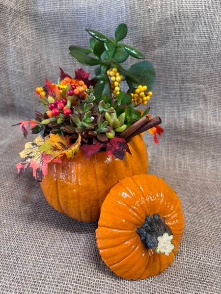 Fall Succulent Pumpkin Decor Class - Gallery image