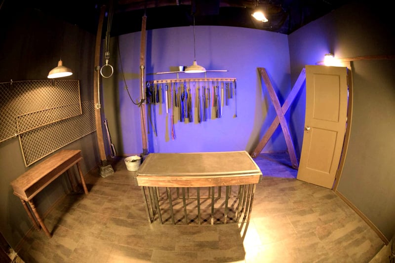 Spacious Photo & Video Studio for Gatherings in Fruitvale - Gallery image