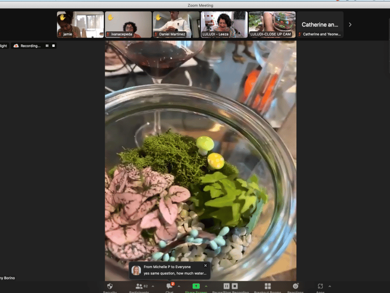 Virtual Self Sustaining Ecosystem Terrarium Workshop - Gallery image
