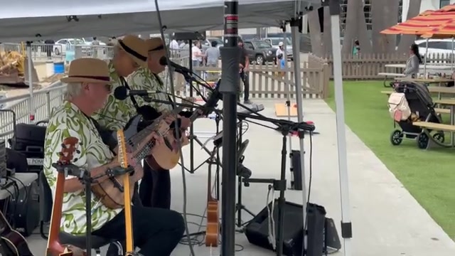Hawaiian Style Musicians for Luau Parties and Wedding Events - Gallery image