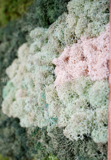 Moss Wall Art Creation Workshop for Team Building - Gallery image