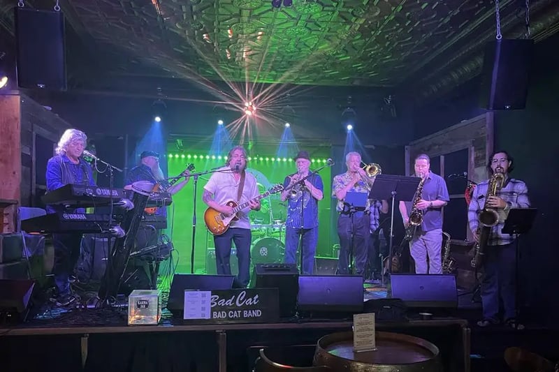 Full Reception Rock Band - Gallery image