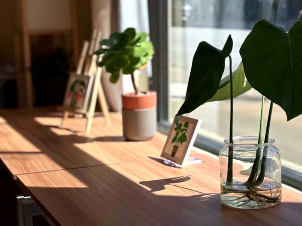 Private Event Space for Gatherings in Inner Sunset - Anniversary in San Francisco - Featured image