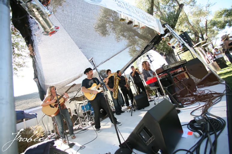 Bay Area Live Ensemble for Reception and Corporate Programs - Featured image