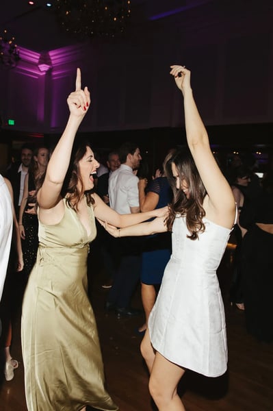 Wedding DJ and MC with Concert-Grade Sound for Receptions - Gallery image