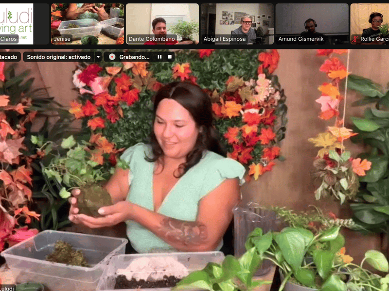 Virtual Kokedama Workshop : Moss Ball Plant Sculpture - Featured image