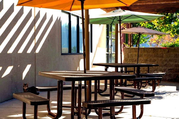 Studio with Dimmable Lighting for Up to 20 Guests, 1,905 Sq Ft - Holiday Party in Fremont - Featured image