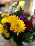 Vendor profile