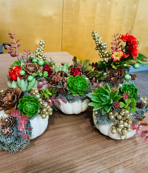 Pumpkin Succulent Planter Experience - Gallery image