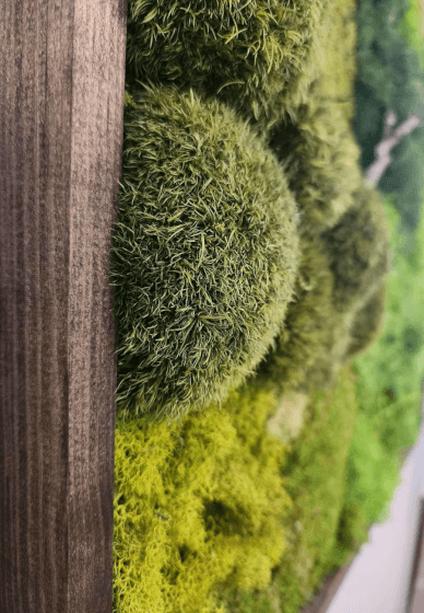 Moss Wall Art Creation Workshop for Team Building - Gallery image