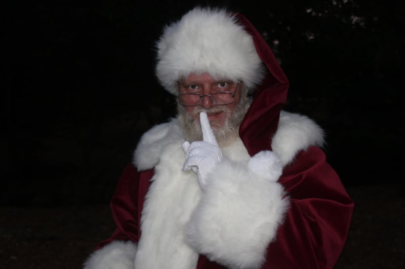 Santa Claus for Hire — Mrs Claus Pair and Magical Experience Visits - Featured image