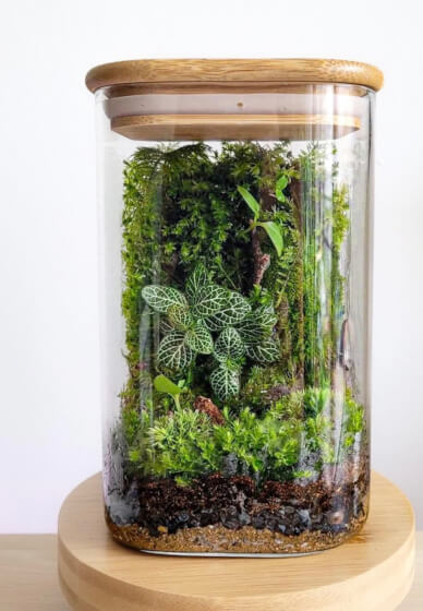Terrarium Creation Workshop for Team Building - Gallery image