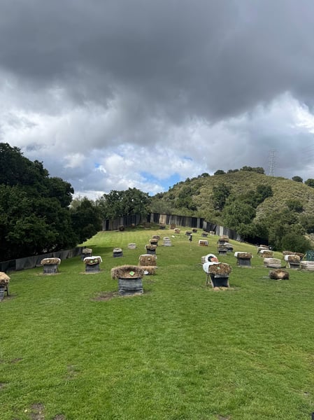 Archery: Bowhunters Archery Team Building Session - Featured image