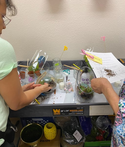 Mini Plant Oasis Terrarium Workshop with Snacks and Bubbly - Gallery image