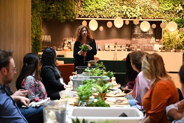 Kokedama creating: TeamBuilding Workshop - Team Building - Featured image
