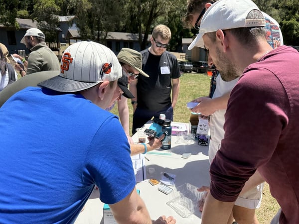 Team Building Games Robot Arena Day – Experiences