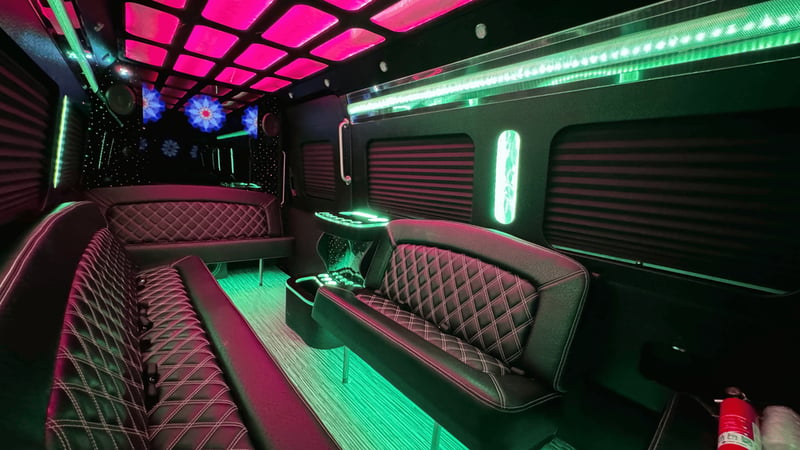 Luxury Small Party Bus Rental for Groups of Up to 19 Guests - Gallery image