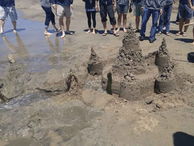 Sandcastle Crusade! - Gallery image