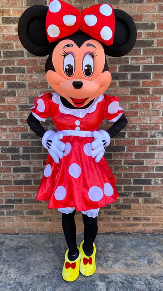 Costumed Mascot Performer for Birthday Parties - Gallery image