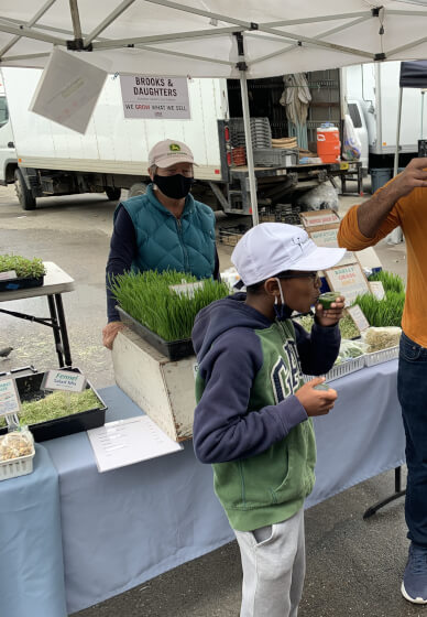 Farmers Market Tour and Seasonal Lunch Cooking Experience - Gallery image