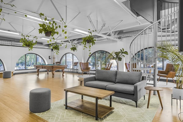 Sunlit Plant-Filled Loft with Arched Windows in Redwood City - Networking in Redwood City - Featured image