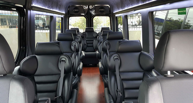 10 Passenger Sprinter Executive Limo Bus Luxury Rental for Events - Gallery image