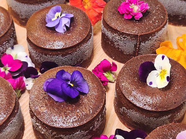 Belgian Chocolate Truffle Cake - Holiday Party - Featured image