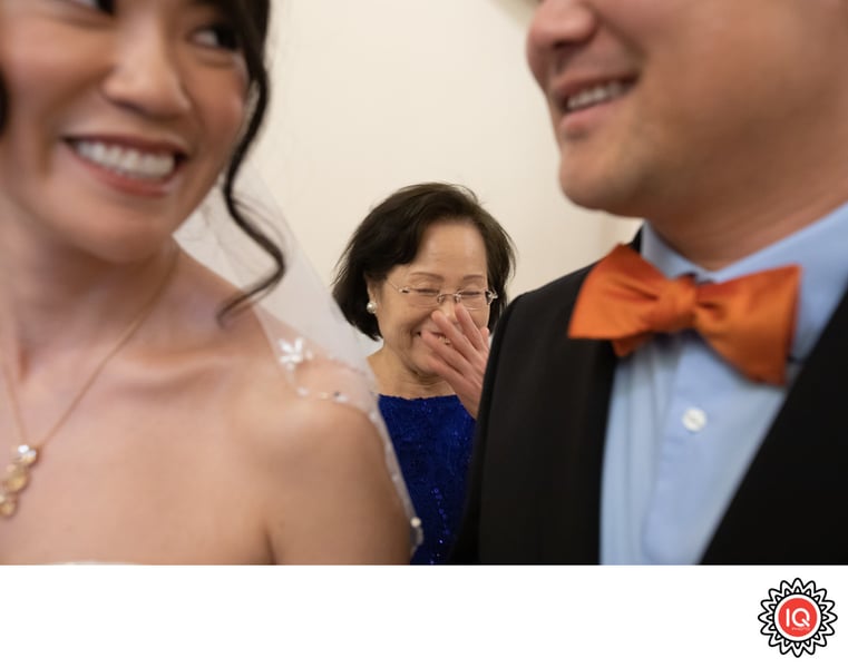 City Hall Elopement Photography Four-Hour Multi-Location Coverage - Gallery image