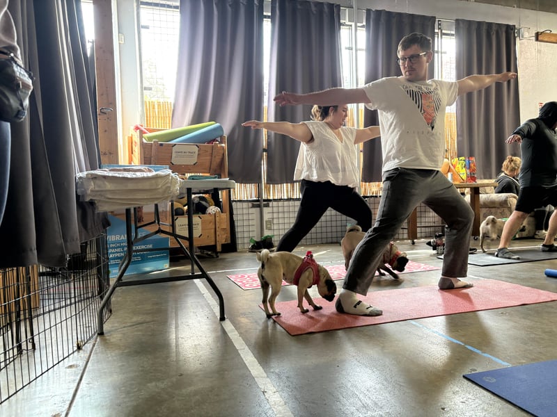 Gentle Yoga Class with a Friendly Community Dog for Groups - Featured image