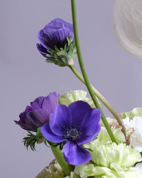 Compact White and Green Arrangement with a Blue Anemone - Gallery image