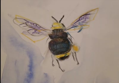 Bees and Blooms Watercolor Painting Class for Teams and Friends – Experiences in Sonoma