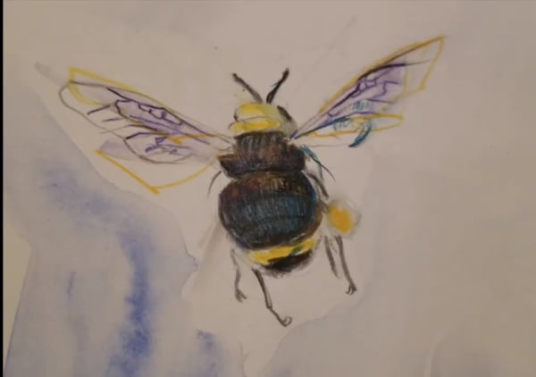 Bees and Blooms Watercolor Painting Class for Teams and Friends - Holiday Party in Sonoma - Featured image