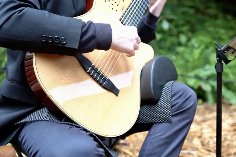 Ceremony & Cocktail Hour Music - Gallery image