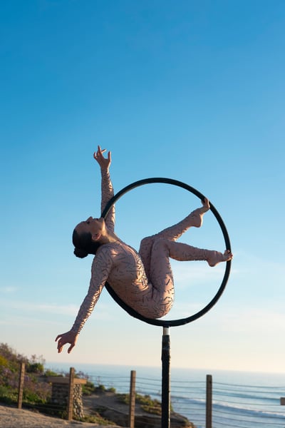 Lollipop Lyra Aerial Cocktail Reception and Performance - Gallery image