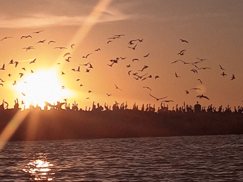 Group Kayaking Tours - Gallery image