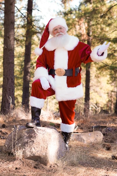 Santa Claus for Hire — Grandfatherly Real-Beard Santa Visits - Gallery image