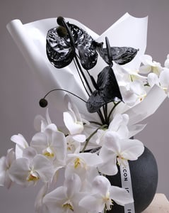 Sculptural Arrangement with White Orchids and Black Anthuriums Florists - Featured