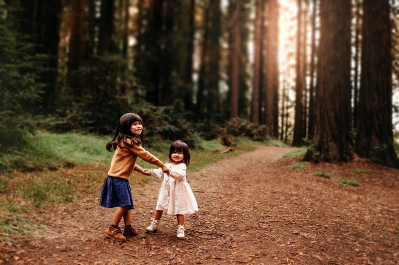 Family and event photography - Featured image